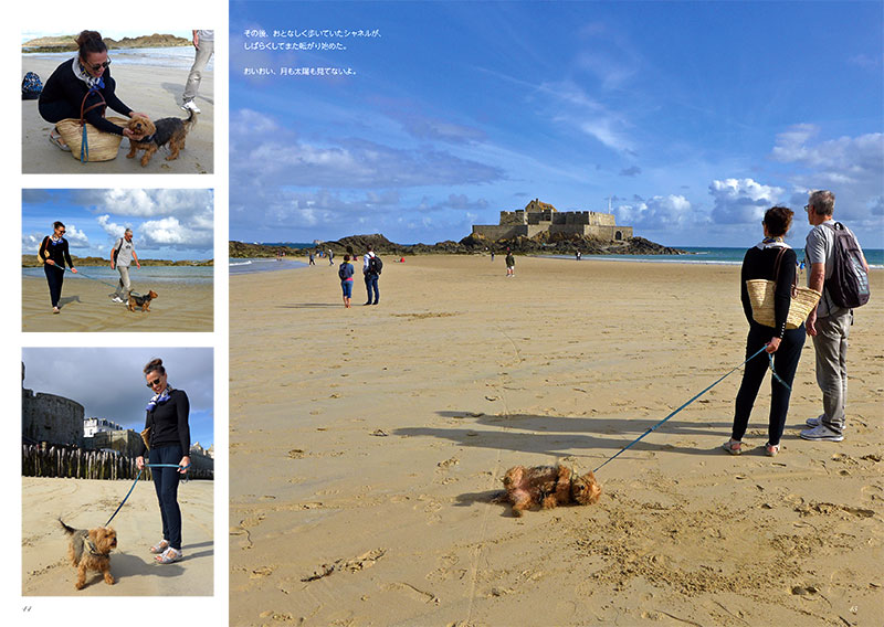 写真作家「田中淳」の著書「Ine de France／犬･ド･フランス」の中のページ